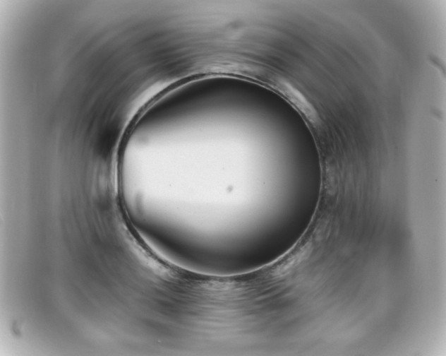 X0000099431036200805091246