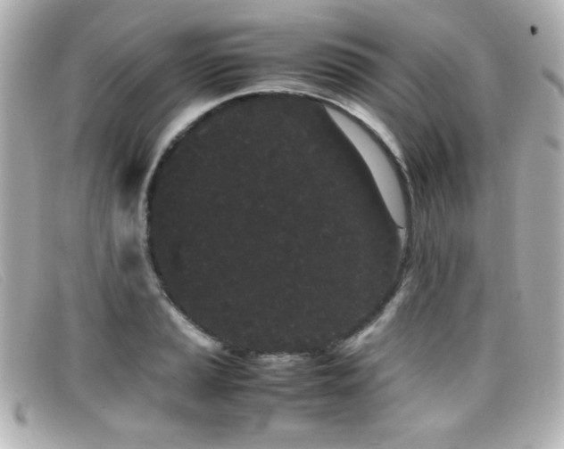 X0000099431037200805091246