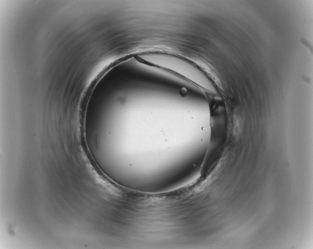 X0000099431038200805091246