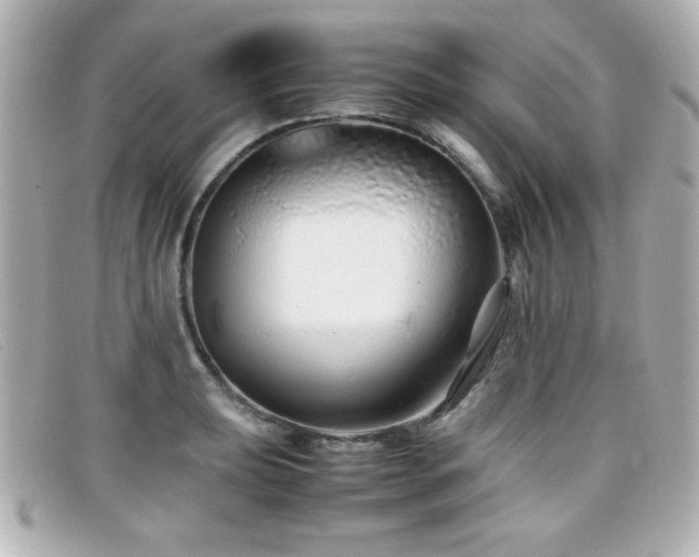 X0000099431039200805091246