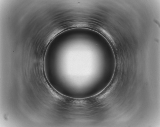 X0000099431041200805091246