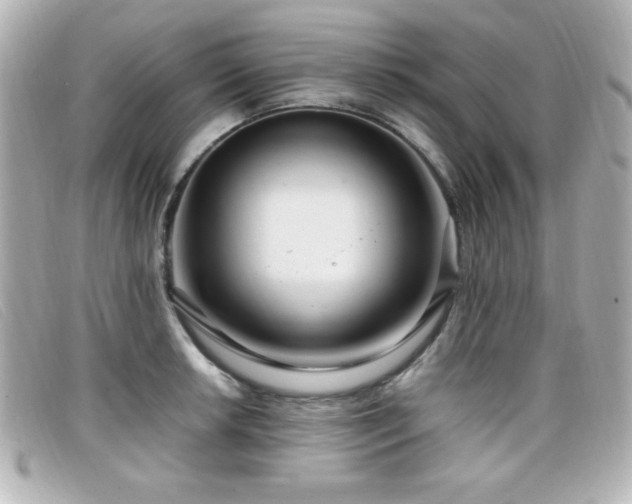 X0000099431042200805091246