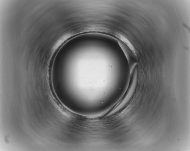 X0000099431043200805091246