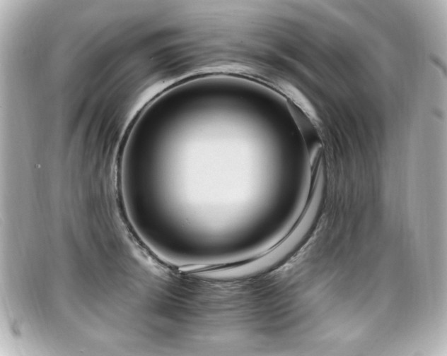 X0000099431044200805091246
