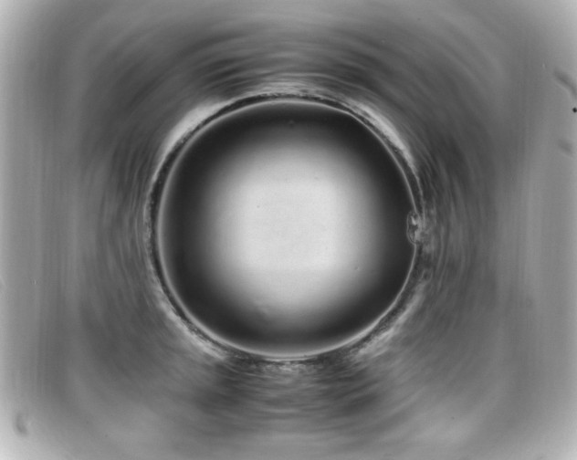 X0000099431045200805091246