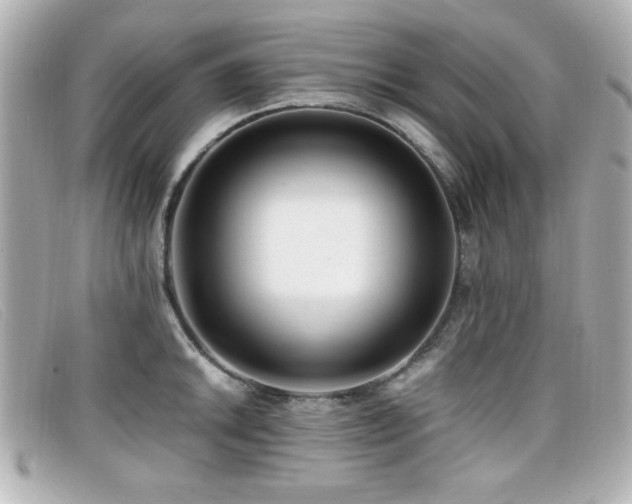 X0000099431046200805091246
