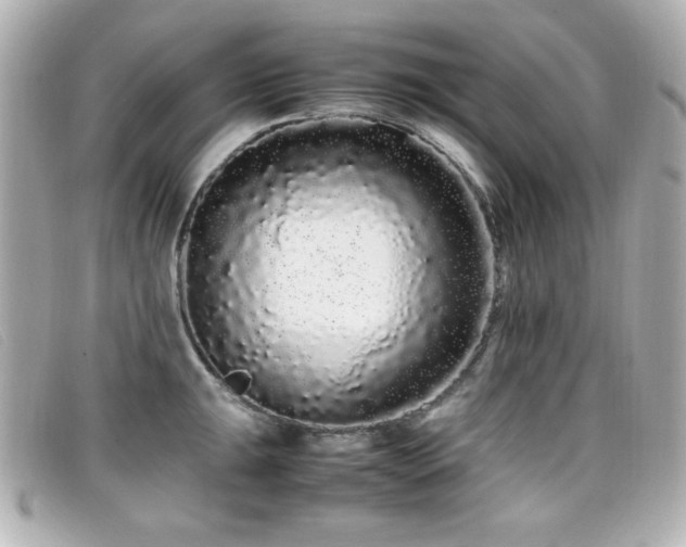 X0000099431047200805091246