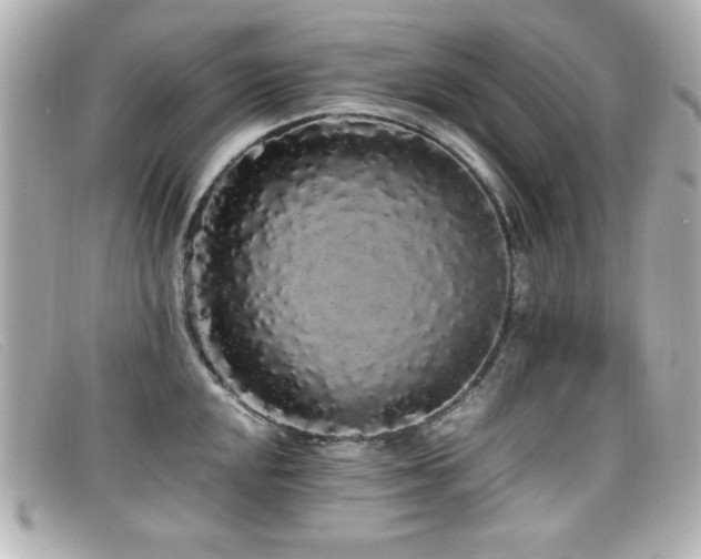 X0000099431048200805091246