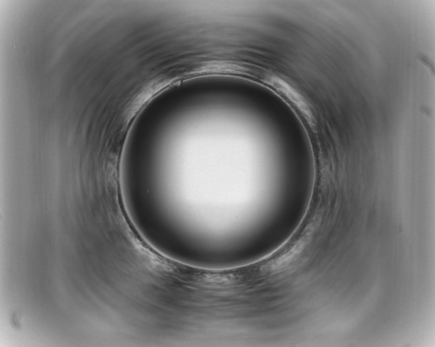 X0000099431049200805091246