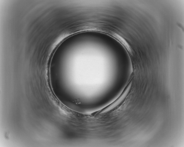 X0000099431051200805091246