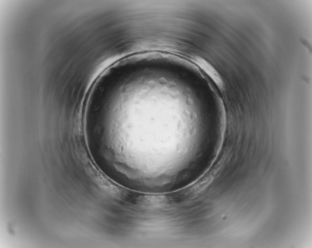 X0000099431052200805091246