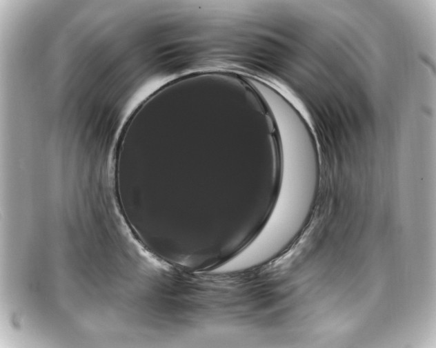 X0000099431053200805091246