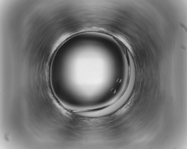 X0000099431054200805091246