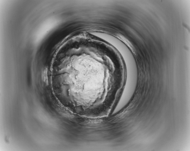 X0000099431055200805091246