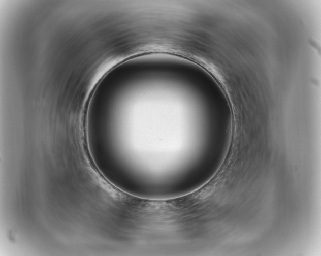 X0000099431056200805091246