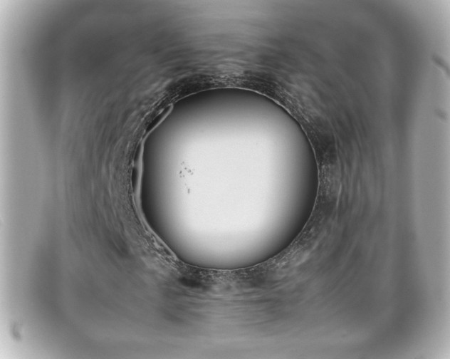 X0000099431057200805091245
