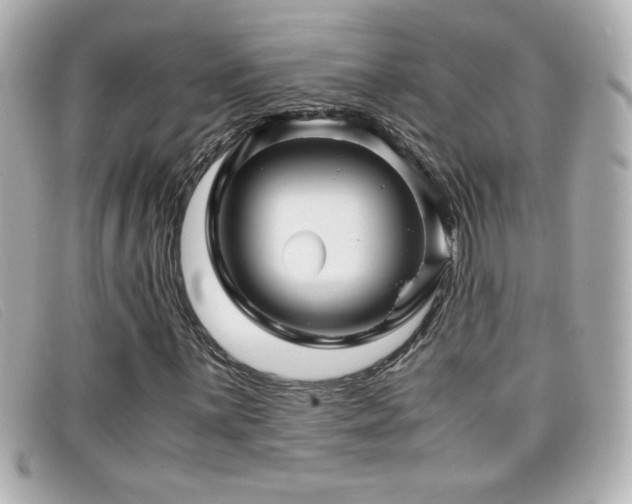 X0000099431059200805091245