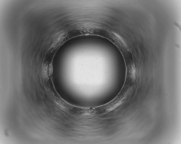 X0000099431060200805091245