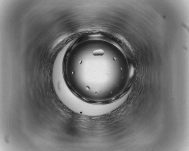 X0000099431064200805091245