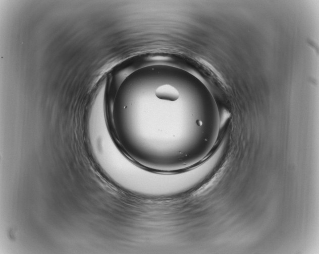 X0000099431065200805091245
