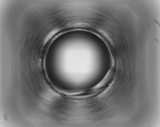 X0000099431066200805091245