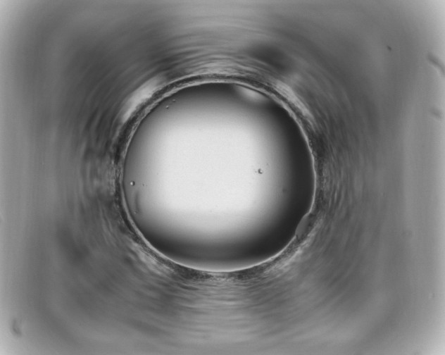 X0000099431067200805091245
