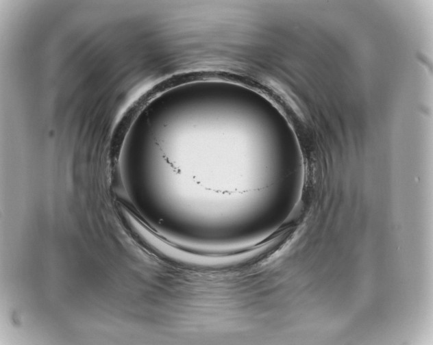 X0000099431069200805091245