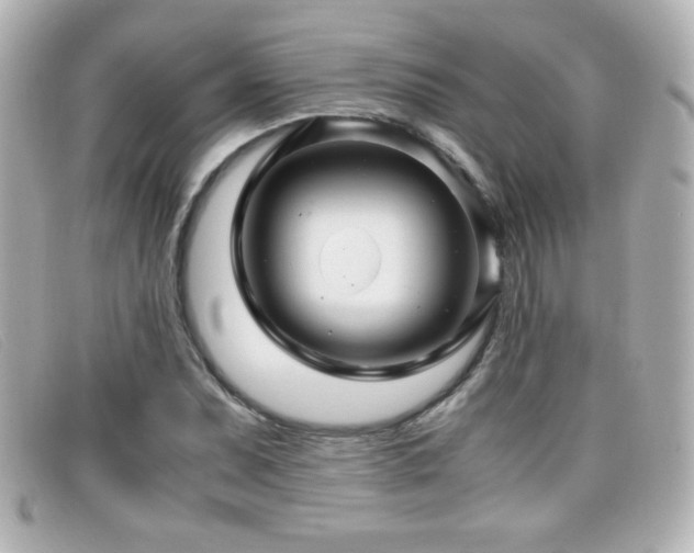 X0000099431071200805091245
