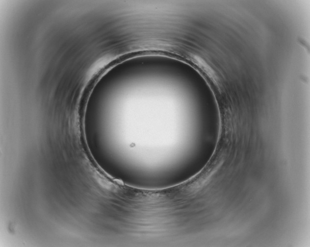 X0000099431072200805091245