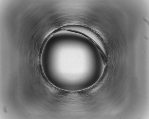 X0000099431073200805091245