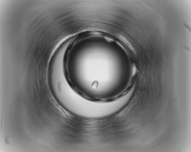 X0000099431076200805091245