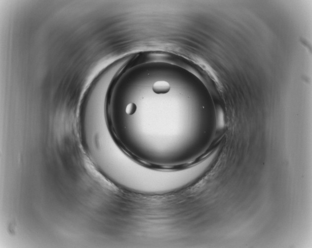 X0000099431080200805091245