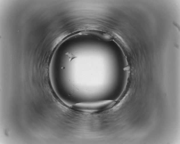 X0000099431081200805091245