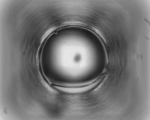 X0000099431082200805091245