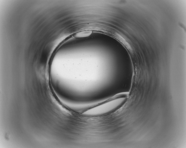 X0000099431084200805091245