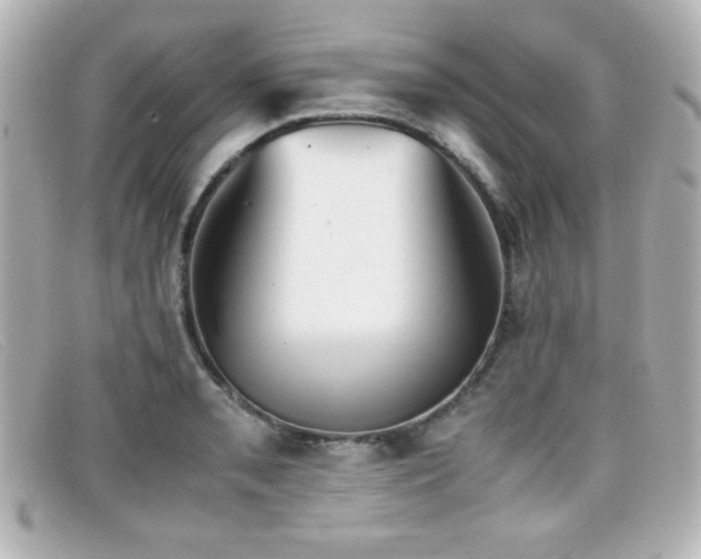 X0000099431085200805091245