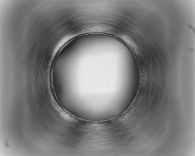 X0000099431086200805091245