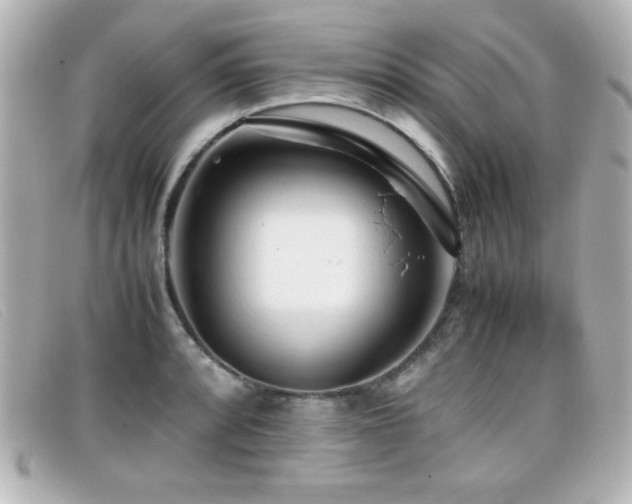 X0000099431088200805091245