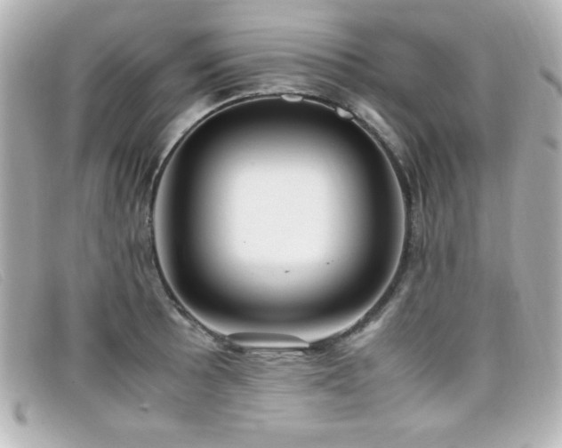 X0000099431089200805091245