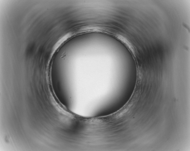 X0000099431090200805091245
