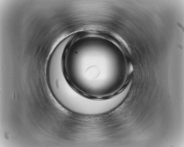 X0000099431091200805091245