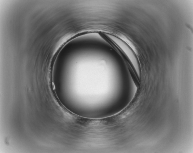 X0000099431093200805091245