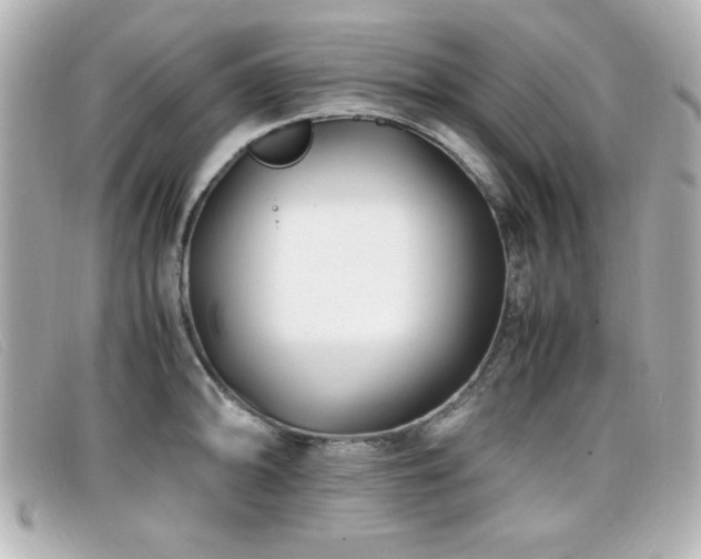 X0000099431094200805091245