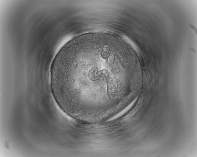 X0000099431095200805091245