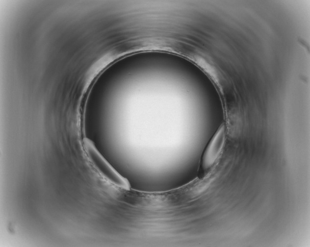 X0000099431096200805091245