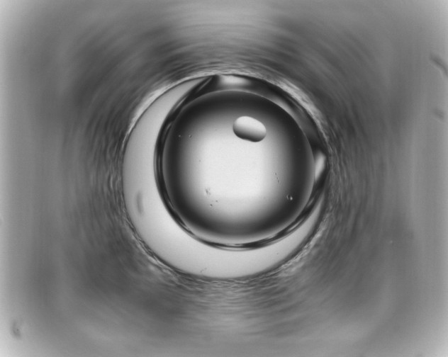 X0000099431097200805091245