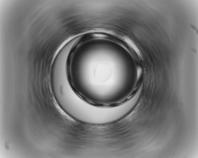 X0000099431100200805091245