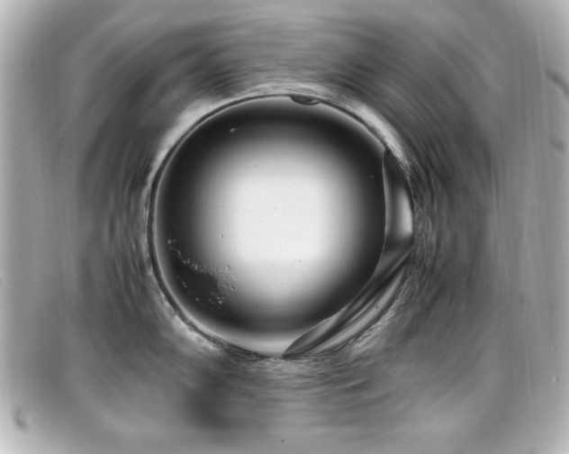 X0000099431102200805091245