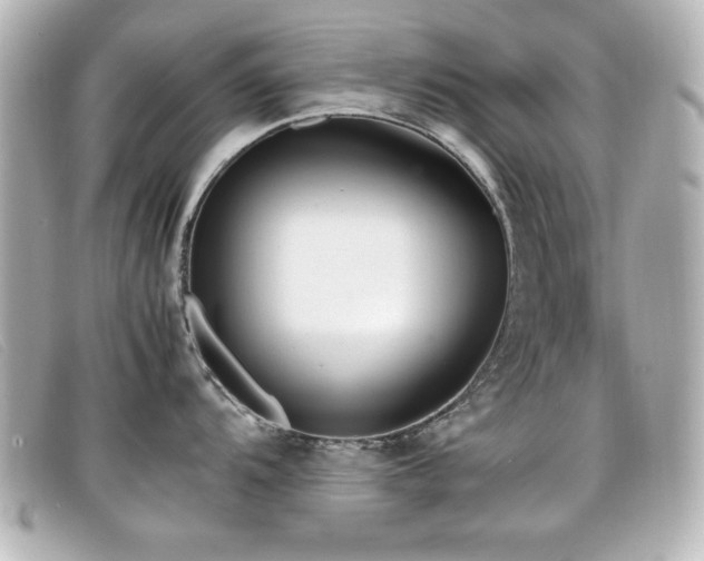 X0000099431104200805091245