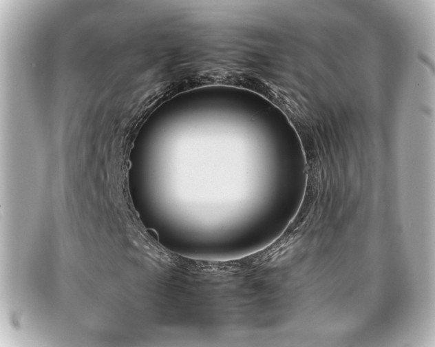 X0000099431105200805091244